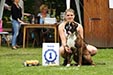 Otis von der Mnzenburg 1. Platz Offene Klasse